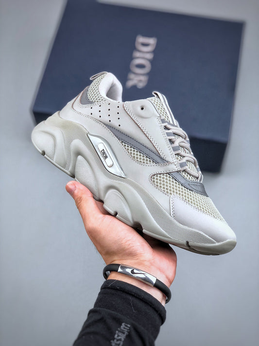 Dior B22 Grey