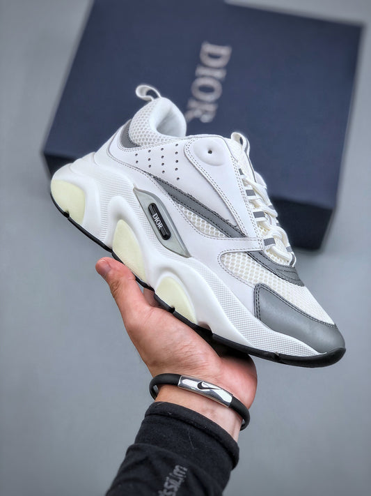 Dior B22 White Grey
