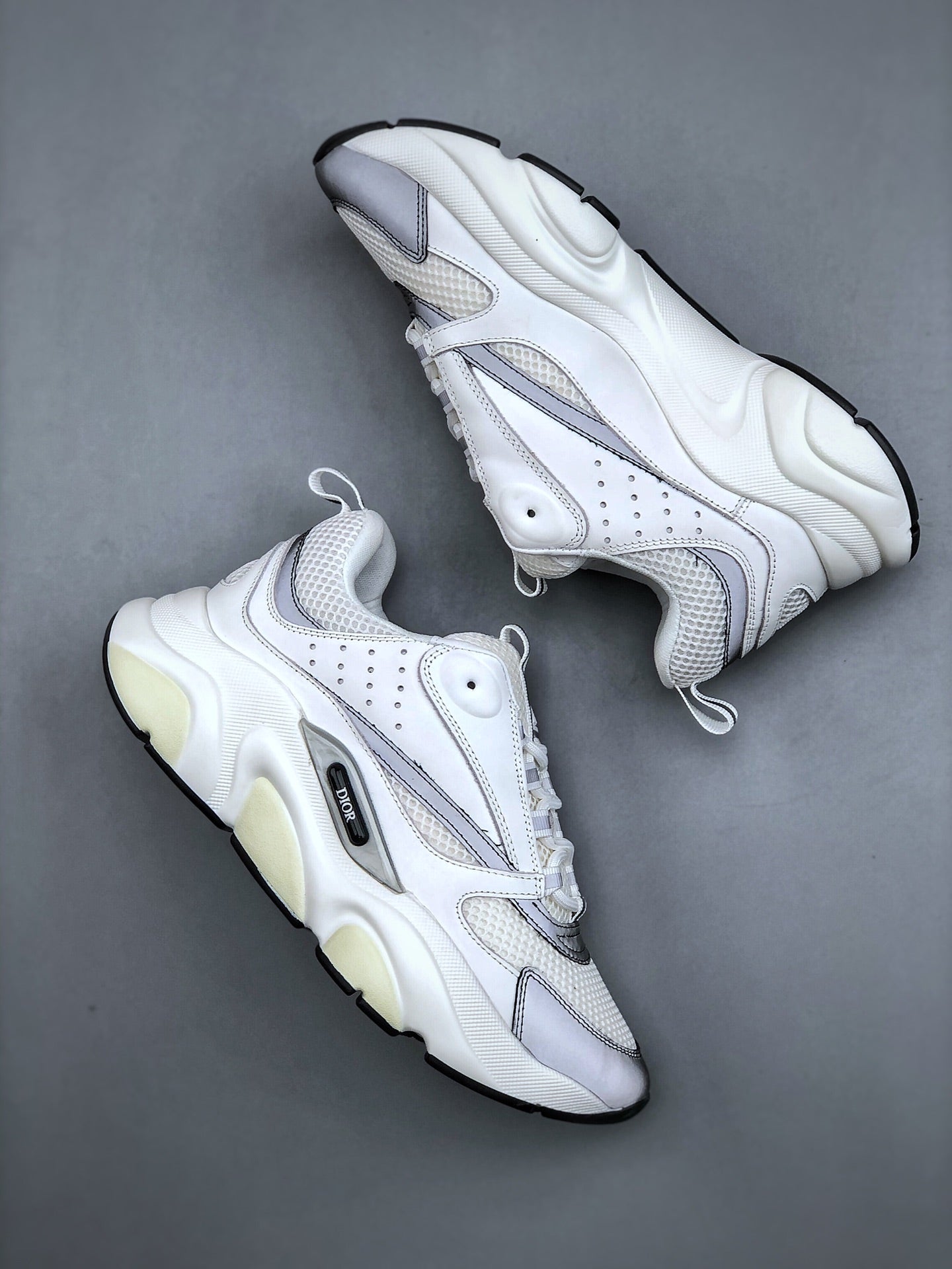 Dior B22 White Grey